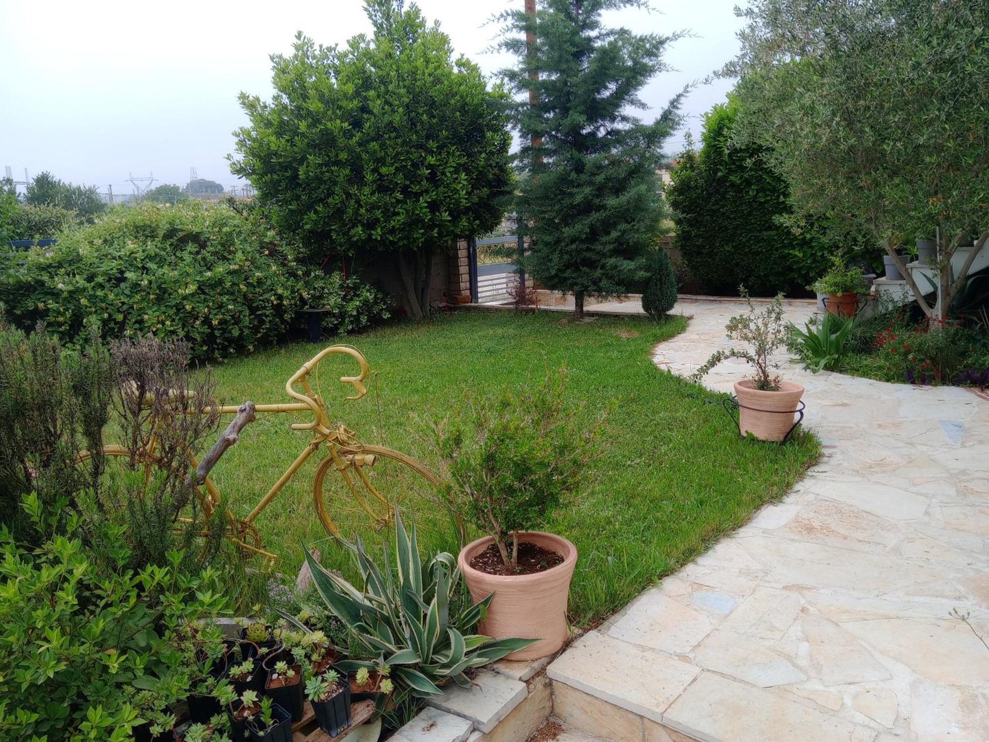 Katerina'S Guest House Ioannina Extérieur photo